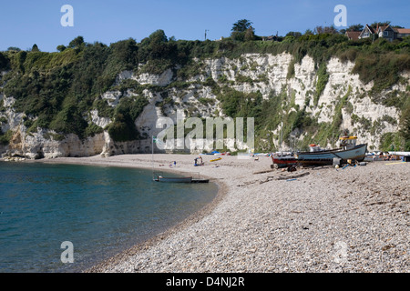 Plage de la bière dans le Devon, en Angleterre. Banque D'Images