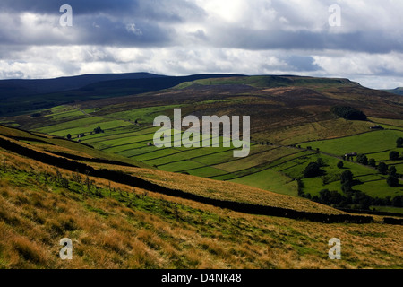 Les bordures de champ granges et plantation de conifères jeu Throsly Gill ci-dessous Wasset tomba West Burton Wensleydale Yorkshire Dales Banque D'Images