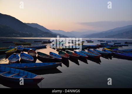 L'Aviron bateaux amarrés sur le lac Phewa Tal, dans la lumière du soir, Pokhara, Népal Banque D'Images