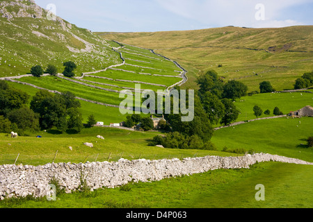 Vestiges de l'époque médiévale de lynchets Parc National près de Malham Cove, Yorkshire Dales Banque D'Images