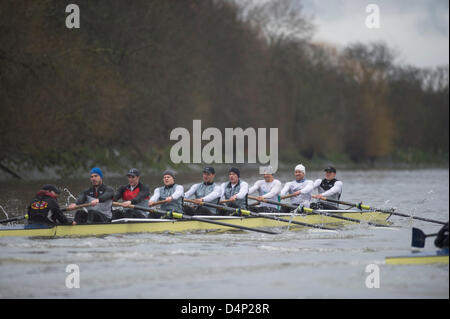 UK. 17 mars, 2013. Oxford University Boat Club (OUBC) contre un dispositif de huit allemand. Oxford Bleu Bateau équipage :- , B : Patrick Close, 2 : Geordie Macleod, 3 : Alex Davidson, 4 : Sam O'Connor, 5 : Paul Bennett, 6 : Karl Hudspith, 7 : Constantine Louloudis, S : Malcolm Howard, C : Oskar Zorrilla huit allemand équipage :- , B : Toni Seifert - Jeux Olympiques de Londres de 2012, M4- (6ème), 2 : Felix Wimberger - 2012 Championnats du Monde U23, M8 + (argent), 3 : Maximilian Reinelt - Jeux Olympiques de Londres de 2012, M8 + (or), 4 : Felix Drahotta - Jeux Olympiques de Londres de 2012, M2- (7e), 5 : Anton Braun - Jeux Olympiques de Londres de 2012, M2- (7e), 6 : Kristof Wi Banque D'Images