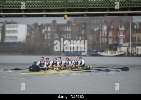 UK. 17 mars, 2013. Oxford University Boat Club (OUBC) contre un dispositif de huit allemand. Oxford Bleu Bateau équipage :- , B : Patrick Close, 2 : Geordie Macleod, 3 : Alex Davidson, 4 : Sam O'Connor, 5 : Paul Bennett, 6 : Karl Hudspith, 7 : Constantine Louloudis, S : Malcolm Howard, C : Oskar Zorrilla huit allemand équipage :- , B : Toni Seifert - Jeux Olympiques de Londres de 2012, M4- (6ème), 2 : Felix Wimberger - 2012 Championnats du Monde U23, M8 + (argent), 3 : Maximilian Reinelt - Jeux Olympiques de Londres de 2012, M8 + (or), 4 : Felix Drahotta - Jeux Olympiques de Londres de 2012, M2- (7e), 5 : Anton Braun - Jeux Olympiques de Londres de 2012, M2- (7e), 6 : Kristof Wi Banque D'Images