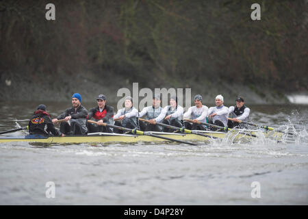 UK. 17 mars, 2013. Oxford University Boat Club (OUBC) contre un dispositif de huit allemand. Oxford Bleu Bateau équipage :- , B : Patrick Close, 2 : Geordie Macleod, 3 : Alex Davidson, 4 : Sam O'Connor, 5 : Paul Bennett, 6 : Karl Hudspith, 7 : Constantine Louloudis, S : Malcolm Howard, C : Oskar Zorrilla huit allemand équipage :- , B : Toni Seifert - Jeux Olympiques de Londres de 2012, M4- (6ème), 2 : Felix Wimberger - 2012 Championnats du Monde U23, M8 + (argent), 3 : Maximilian Reinelt - Jeux Olympiques de Londres de 2012, M8 + (or), 4 : Felix Drahotta - Jeux Olympiques de Londres de 2012, M2- (7e), 5 : Anton Braun - Jeux Olympiques de Londres de 2012, M2- (7e), 6 : Kristof Wi Banque D'Images