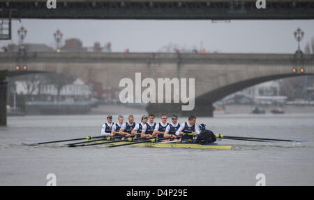 UK. 17 mars, 2013. Oxford University Boat Club (OUBC) contre un dispositif de huit allemand. Oxford Bleu Bateau équipage :- , B : Patrick Close, 2 : Geordie Macleod, 3 : Alex Davidson, 4 : Sam O'Connor, 5 : Paul Bennett, 6 : Karl Hudspith, 7 : Constantine Louloudis, S : Malcolm Howard, C : Oskar Zorrilla huit allemand équipage :- , B : Toni Seifert - Jeux Olympiques de Londres de 2012, M4- (6ème), 2 : Felix Wimberger - 2012 Championnats du Monde U23, M8 + (argent), 3 : Maximilian Reinelt - Jeux Olympiques de Londres de 2012, M8 + (or), 4 : Felix Drahotta - Jeux Olympiques de Londres de 2012, M2- (7e), 5 : Anton Braun - Jeux Olympiques de Londres de 2012, M2- (7e), 6 : Kristof Wi Banque D'Images