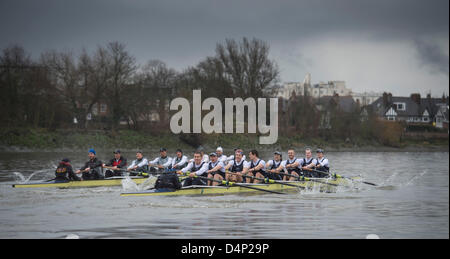 UK. 17 mars, 2013. Oxford University Boat Club (OUBC) contre un dispositif de huit allemand. Oxford Bleu Bateau équipage :- , B : Patrick Close, 2 : Geordie Macleod, 3 : Alex Davidson, 4 : Sam O'Connor, 5 : Paul Bennett, 6 : Karl Hudspith, 7 : Constantine Louloudis, S : Malcolm Howard, C : Oskar Zorrilla huit allemand équipage :- , B : Toni Seifert - Jeux Olympiques de Londres de 2012, M4- (6ème), 2 : Felix Wimberger - 2012 Championnats du Monde U23, M8 + (argent), 3 : Maximilian Reinelt - Jeux Olympiques de Londres de 2012, M8 + (or), 4 : Felix Drahotta - Jeux Olympiques de Londres de 2012, M2- (7e), 5 : Anton Braun - Jeux Olympiques de Londres de 2012, M2- (7e), 6 : Kristof Wi Banque D'Images