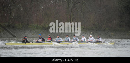 UK. 17 mars, 2013. Oxford University Boat Club (OUBC) contre un dispositif de huit allemand. Oxford Bleu Bateau équipage :- , B : Patrick Close, 2 : Geordie Macleod, 3 : Alex Davidson, 4 : Sam O'Connor, 5 : Paul Bennett, 6 : Karl Hudspith, 7 : Constantine Louloudis, S : Malcolm Howard, C : Oskar Zorrilla huit allemand équipage :- , B : Toni Seifert - Jeux Olympiques de Londres de 2012, M4- (6ème), 2 : Felix Wimberger - 2012 Championnats du Monde U23, M8 + (argent), 3 : Maximilian Reinelt - Jeux Olympiques de Londres de 2012, M8 + (or), 4 : Felix Drahotta - Jeux Olympiques de Londres de 2012, M2- (7e), 5 : Anton Braun - Jeux Olympiques de Londres de 2012, M2- (7e), 6 : Kristof Wi Banque D'Images