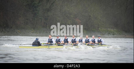 UK. 17 mars, 2013. Oxford University Boat Club (OUBC) contre un dispositif de huit allemand. Oxford Bleu Bateau équipage :- , B : Patrick Close, 2 : Geordie Macleod, 3 : Alex Davidson, 4 : Sam O'Connor, 5 : Paul Bennett, 6 : Karl Hudspith, 7 : Constantine Louloudis, S : Malcolm Howard, C : Oskar Zorrilla huit allemand équipage :- , B : Toni Seifert - Jeux Olympiques de Londres de 2012, M4- (6ème), 2 : Felix Wimberger - 2012 Championnats du Monde U23, M8 + (argent), 3 : Maximilian Reinelt - Jeux Olympiques de Londres de 2012, M8 + (or), 4 : Felix Drahotta - Jeux Olympiques de Londres de 2012, M2- (7e), 5 : Anton Braun - Jeux Olympiques de Londres de 2012, M2- (7e), 6 : Kristof Wi Banque D'Images