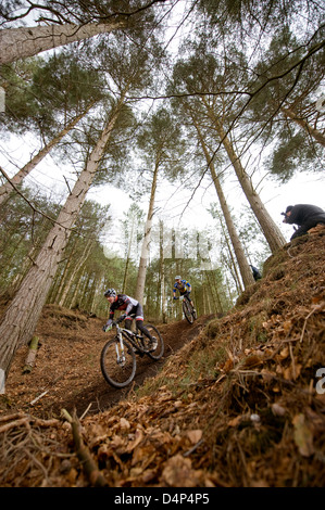 Course de vélo de montagne à Cannock Chase forêt près de Turckheim, Staffordshire, Angleterre. Banque D'Images