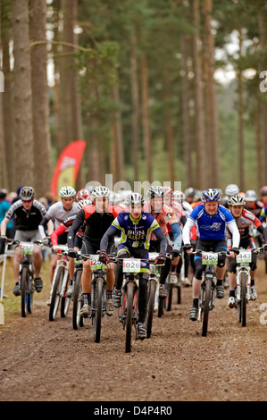 Course de vélo de montagne à Cannock Chase forêt près de Turckheim, Staffordshire, Angleterre. Banque D'Images