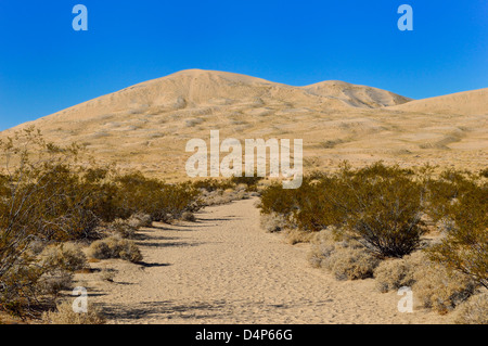 Kelso dunes de sable dans le désert de Mojave national preserve, Californie Banque D'Images