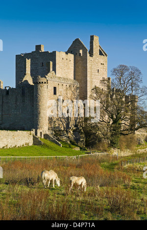 Craigmillar castle dans une forte lumière d'hiver avec les chevaux Banque D'Images