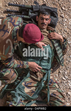 Les commandos afghans à partir de la 2e compagnie, 7e Kandak d'opérations spéciales appliquer un bandage à une victime simulée au cours de formation d'assistant médical de combat le 17 mars 2013 dans le district de lave, dans la province d'Helmand, en Afghanistan. Banque D'Images