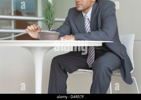 Businessman arrosage bonsai, cropped Banque D'Images