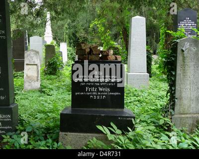 Les tombes de l'ancien cimetière juif sur le cimetière du centre sont abondamment couvertes de verdure à Vienne, Autriche, 09 août 2009. Les plantes à feuilles persistantes entourant la vieille pierres tombales sont une importante source de nourriture pour de nombreux petits et grands animaux. Photo : Beate Schleep Banque D'Images