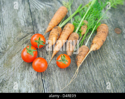 La photo montre des carottes et des tomates biologiques qui ont été récoltés seulement à Francfort, Allemagne, 01 août 2009. Les plantes ont été cultivées dans un jardin privé sans utiliser de produits chimiques. Photo : Wolfram Steinberg Banque D'Images