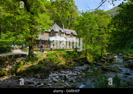 Watersmeet Chambre salon de thé sur la rive de la rivière East Lyn près de Lynmouth, Devon, Angleterre. Banque D'Images