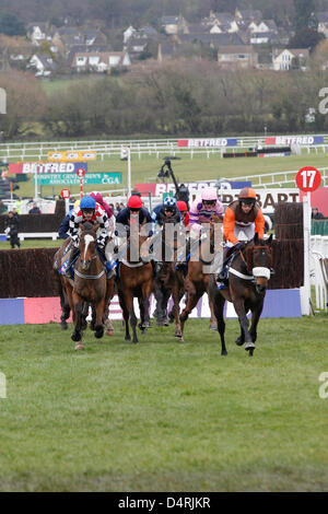 15.03.2013 - Cheltenham, coureurs et cyclistes au cours de la Cheltenham Gold Cup Betfred Chase Grade 1. Credit : Lajos-Eric turfstock.com/Balogh Banque D'Images