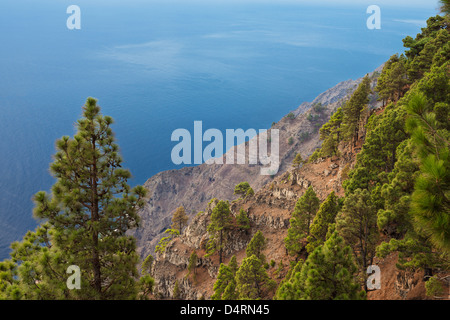 Vue vers l'est sur l'océan Atlantique depuis le point de vue au sommet de la falaise du Mirador de Las Playas, El Hierro, îles Canaries, Espagne Banque D'Images