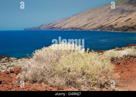 Salado développe à Tacoron, El Hierro, Îles Canaries, avec l'effondrement de lave-couverts de baie El Julan dans l'arrière-plan Banque D'Images