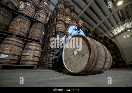 Un travailleur distillerie déménagement des tonneaux de bois à la Mount Gay Rum Distillery en paroisse St Lucie, Barbade, Caraïbes Banque D'Images