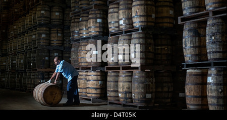 Un travailleur distillerie déménagement des tonneaux de bois à la Mount Gay Rum Distillery en paroisse St Lucie, Barbade, Caraïbes Banque D'Images