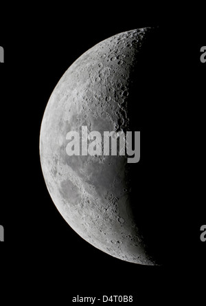 Un saxing croissant de lune en haute résolution. Banque D'Images