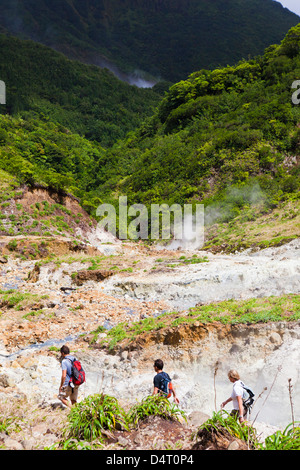 La vallée de la Désolation de fumerolles sulfureuses - sur le Boiling Lake Randonnée en Dominique Banque D'Images