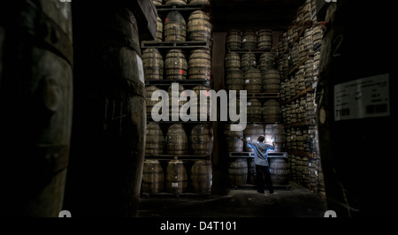 Un travailleur distillerie vérifie des tonneaux de bois à la Mount Gay Rum Distillery en paroisse St Lucie, Barbade, Caraïbes Banque D'Images