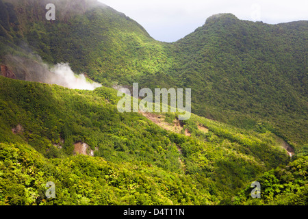 Vue sur le Boiling Lake et parc national du Morne Trois Pitons, Dominique Banque D'Images