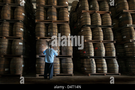 Un travailleur distillerie vérifie des tonneaux de bois à la Mount Gay Rum Distillery en paroisse St Lucie, Barbade, Caraïbes Banque D'Images