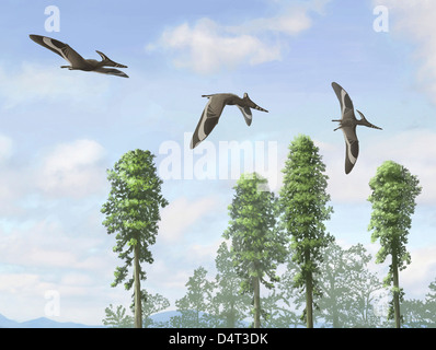 Pteranodon longiceps trio, deux mâles et une femelle. Banque D'Images