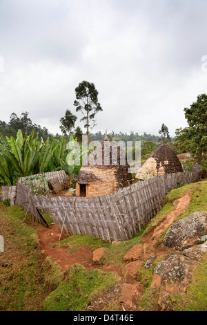 Dans le Dorze Guge Montagnes, Ethiopie Banque D'Images