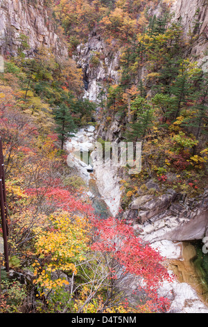 Cheonbuldong Valley stream et falaises de granit, le Parc National de Seoraksan, Corée du Sud Banque D'Images