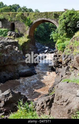 Le Nil Bleu avec le pont portugais à partir de 1626, l'Ethiopie Banque D'Images