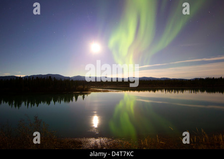 Aurora Borealis et Pleine lune sur le fleuve Yukon, Whitehorse, Yukon, Canada. Banque D'Images