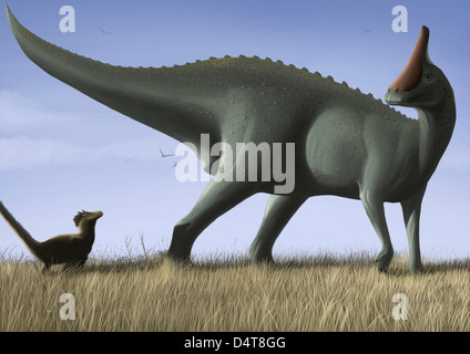 Tsintaosaurus spinorhinus et sa progéniture dans un champ ouvert. Banque D'Images