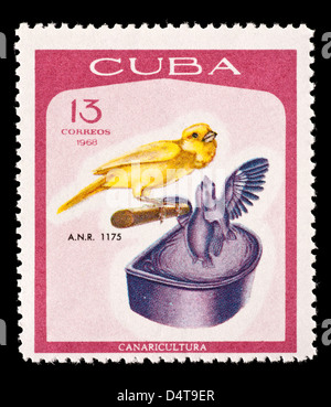 Timbre-poste représentant de Cuba d'oiseaux chanteurs. Banque D'Images