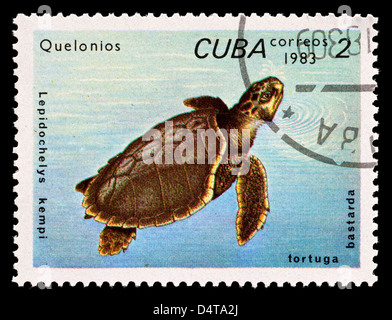 Timbre-poste de Cuba représentant une tortue de Kemp (Lepidochelys kempii) Banque D'Images