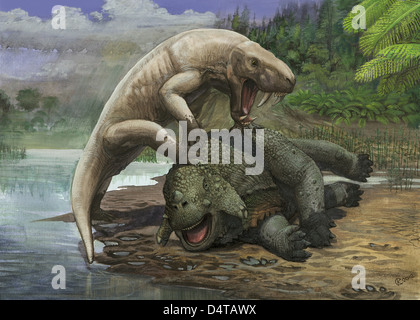 L'Inostrancevia alexandri attaque une Scutosaurus karpinski à l'époque préhistorique. Banque D'Images