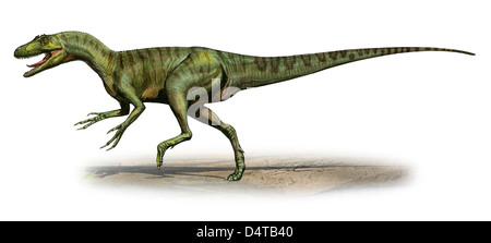 Deltadromeus agilis, un dinosaure préhistoire de la fin du Crétacé. Banque D'Images