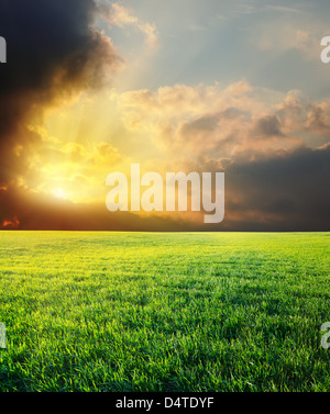Au coucher du soleil Ciel dramatique au-dessus de champ vert Banque D'Images