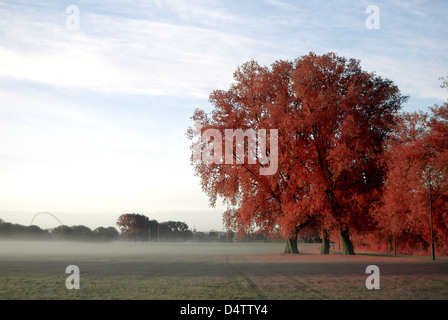 Faux La photographie en couleurs d'un arbre. Le stade de Wembley en arrière-plan Banque D'Images