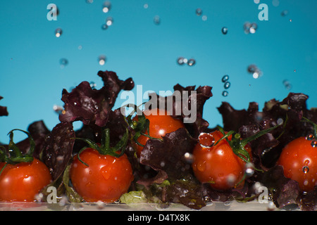 La laitue et les tomates splashing in water Banque D'Images