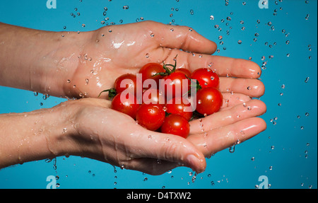 Poignée de tomates sous douche Banque D'Images