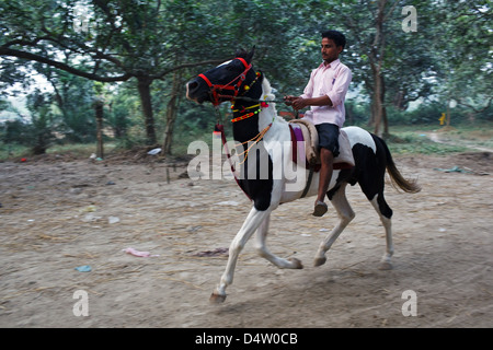 L'équitation au marché du bétail à Sonepur Mela, Bihar, Inde Banque D'Images