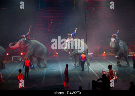 Ringling Bros Barnum et Bailey circus elephants Banque D'Images