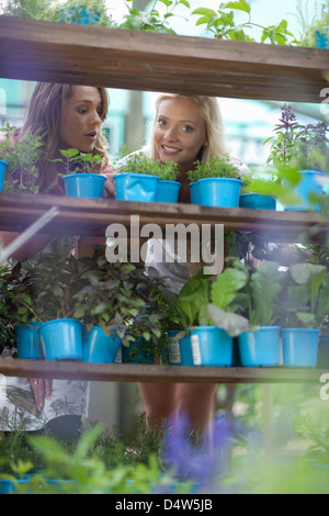 Shopping pour les plantes en pépinière Banque D'Images