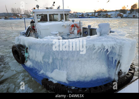 "Brise-glace" tubbenhuk exploité par BBB Schlepp-und Hafendienste GmbH' breaks de la couche de glace dans le port de pêche ou d'un bateau-pilote sur la rivière Peene, la plus libre, de l'Allemagne, le 21 décembre 2009. Les bateaux-pilotes de ce port sont en charge des voies navigables situées dans et hors de la mer Baltique, Wolgast ports Greifswald et Stralsund. Photo : STEFAN SAUER Banque D'Images