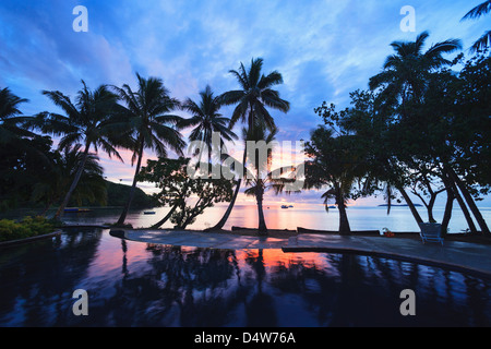 Silhouette of trees on tropical beach Banque D'Images