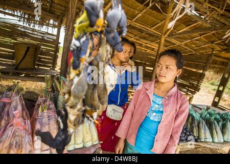 12 mars 2013 - interdiction d'Oudomxay, Namthip, Laos - femmes Hilltribe vendre la viande à un arrêt de repos dans une communauté Hmong le long de l'autoroute 13 dans les régions rurales du Laos. L'asphaltage de l'autoroute 13 de Vientiane à près de la frontière chinoise a changé le mode de vie dans les régions rurales du Laos. Les villageois près de Luang Prabang l'habitude d'avoir à prendre des bateaux peu fiable qui a duré trois heures aller-retour pour se rendre de la maison au centre touristique de Luang Prabang, maintenant ils prennent un aller-retour de 40 minutes en bus. Au nord de Luang Prabang, ouvrant ainsi la voie publique a été l'occasion pour la Chine d'utiliser le Laos en tant que point de transbordement. N de marchandises chinoises Banque D'Images